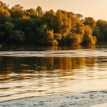 Отчеты о рыбалке на Днепре 2025