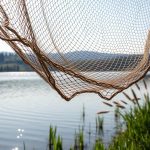 рыболовная сеть купить