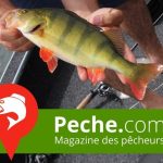 default-peche.jpg