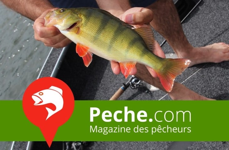 default-peche.jpg