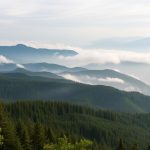 Панорамный вид на Карпатские горы с туманом и лесами - идеальное место для отдыха в Карпатах на двоих все включено