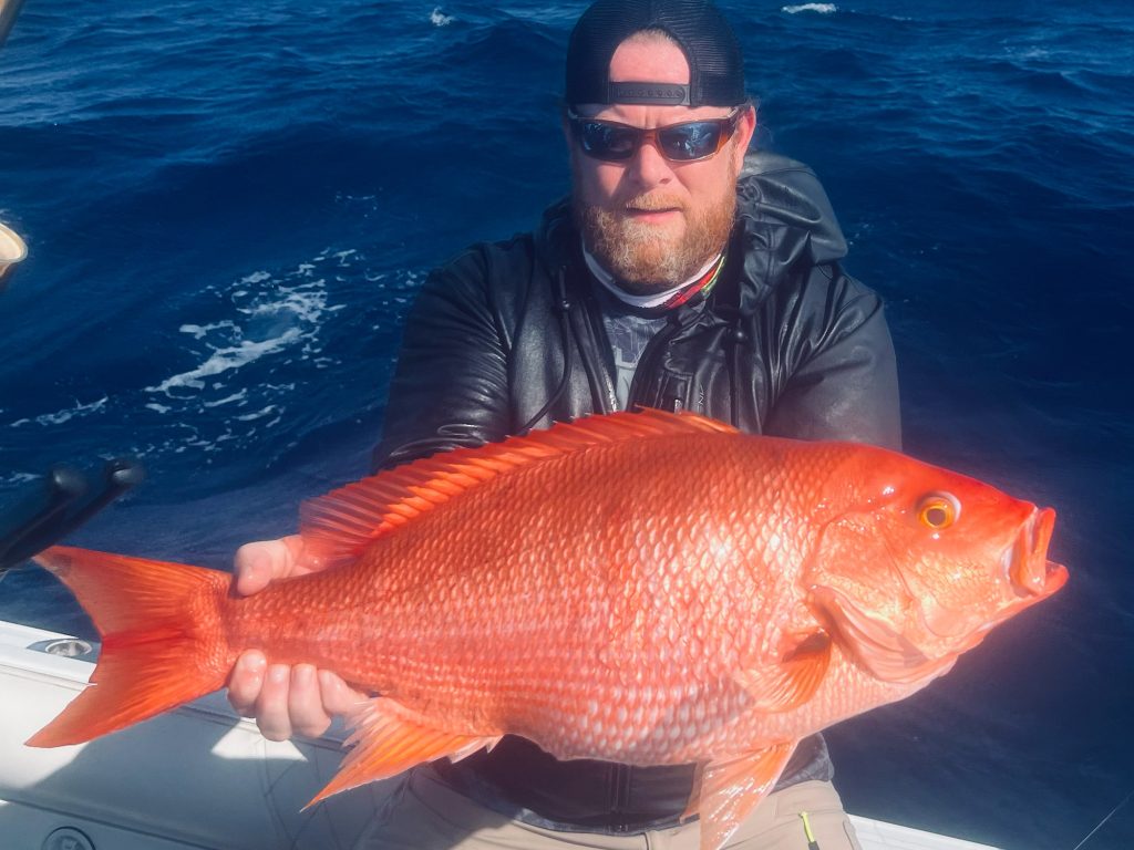 record_snapper.jpg