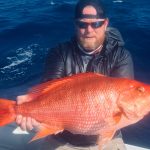 record_snapper.jpg