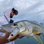 snook-lure.jpg