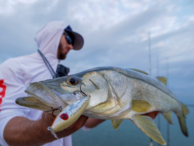 snook-lure.jpg