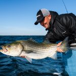 chunky-northeast-stripers.jpg