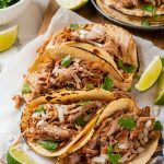 pork-carnitas-21.jpg
