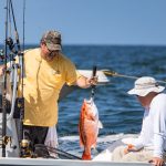 alabama_red_snapper.jpg