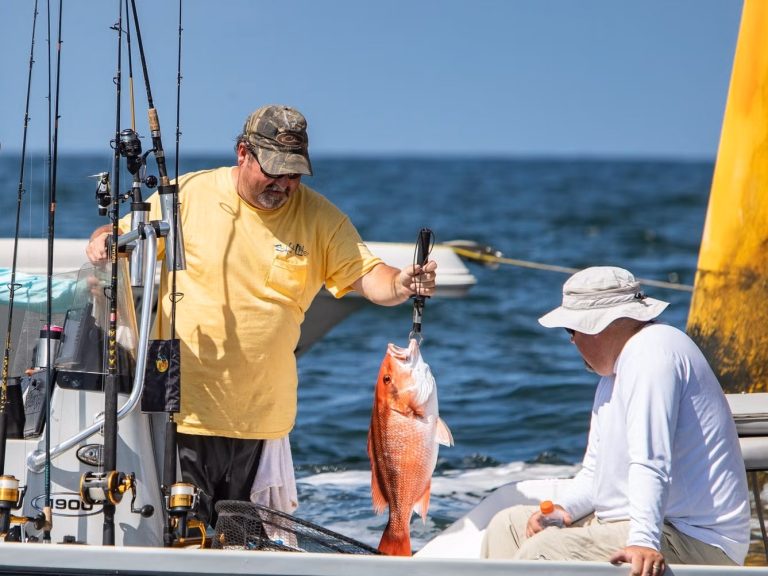 alabama_red_snapper.jpg