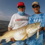 louisiana-redfish-livetarget.jpg