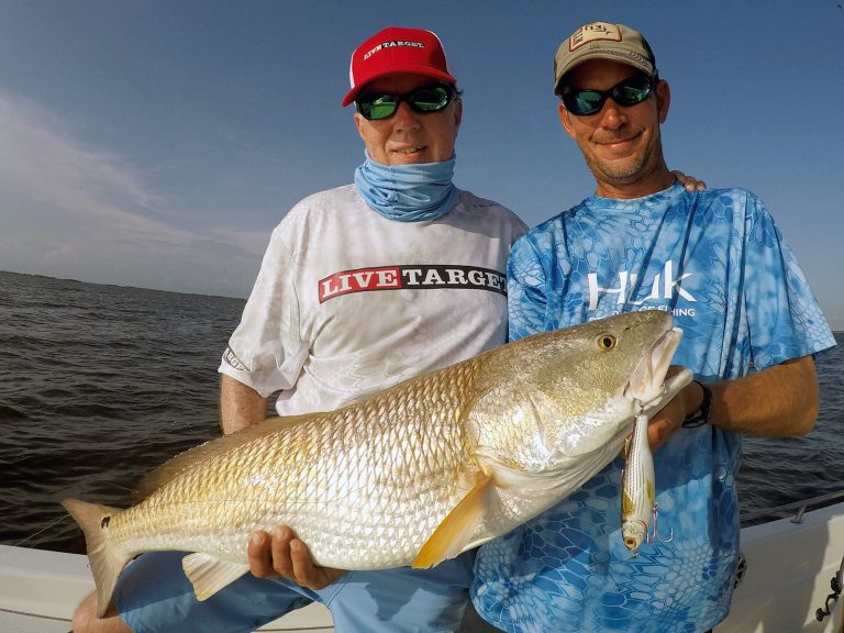 louisiana-redfish-livetarget.jpg
