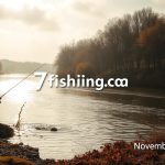 Рыбалка на Днепре 10.11.2025