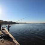 Рыбалка на Днепре 15.10.2025