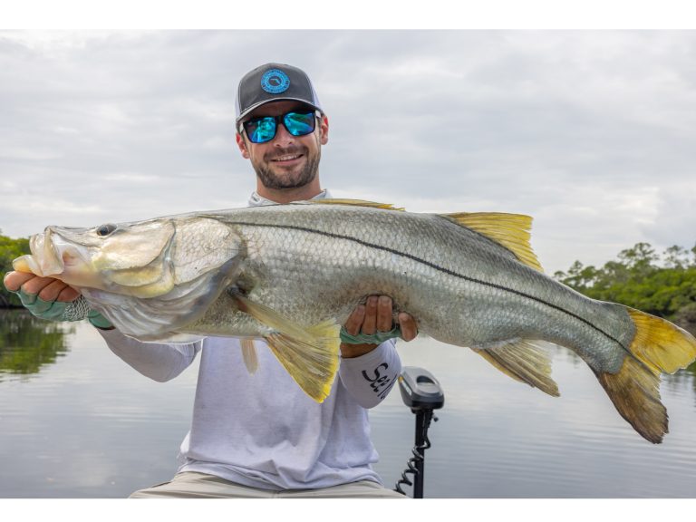 snook.jpg