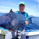 sws122-5-blue-triggerfish.jpg