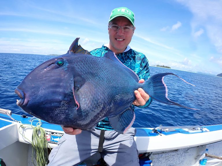 sws122-5-blue-triggerfish.jpg