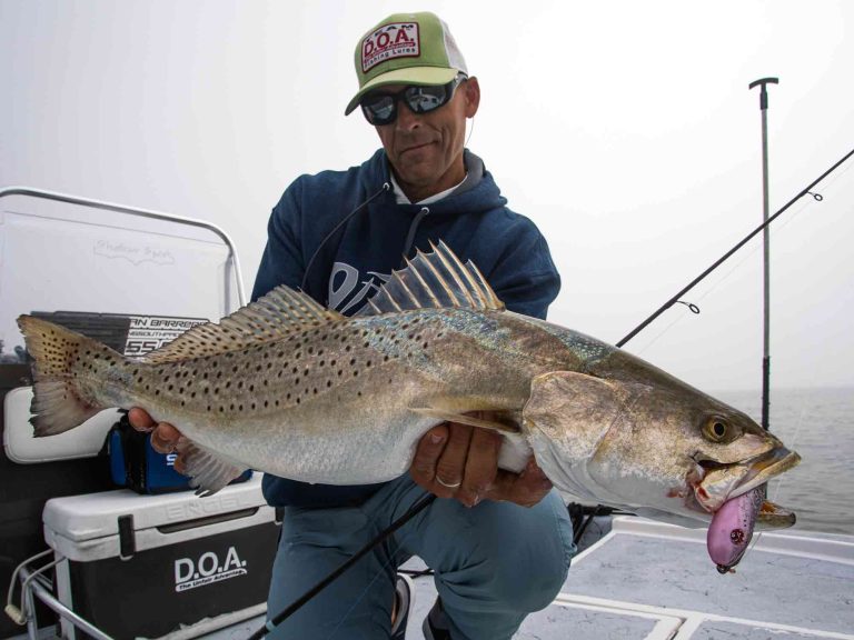 texas-seatrout-release.jpg
