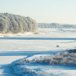 Берег річки восени