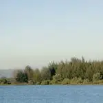 Краєвид річки в долині